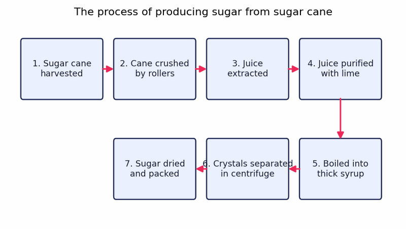 Biểu đồ đề bài — Band 8.0 — Process: Producing Sugar from Sugar Cane