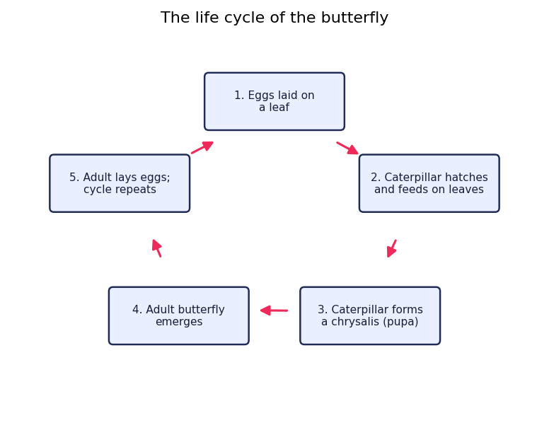 Biểu đồ đề bài — Band 7.5 — Process: The Life Cycle of the Butterfly